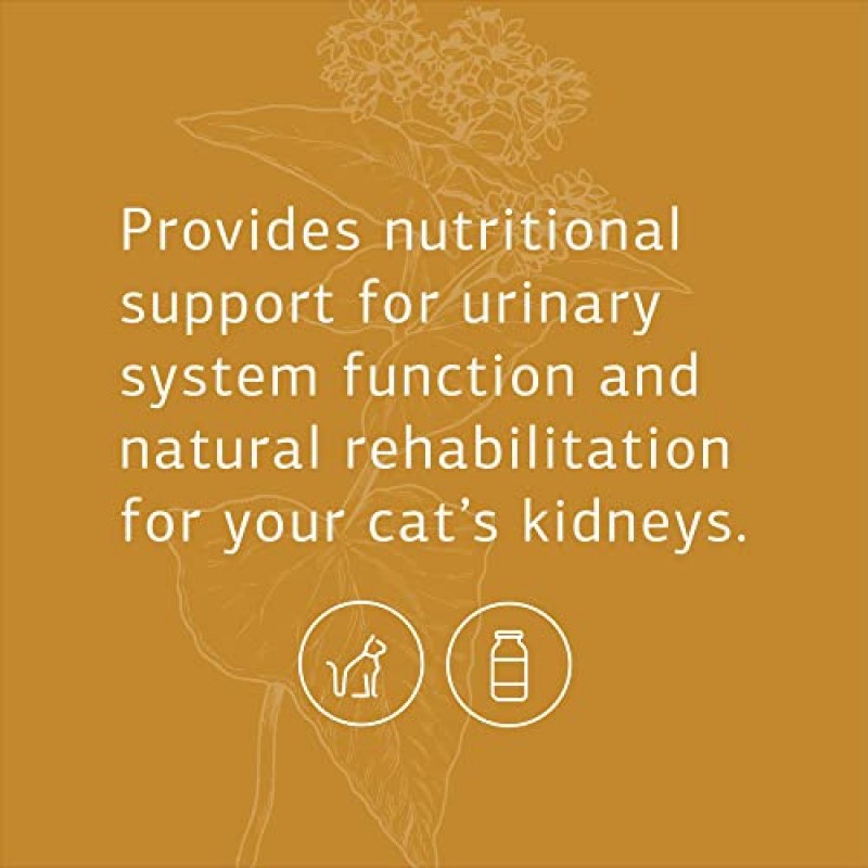 표준 과정 - 고양이 신장 지원 - 고양이를 위한 신장 및 비뇨기 건강 - 90정