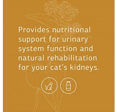 표준 과정 - 고양이 신장 지원 - 고양이를 위한 신장 및 비뇨기 건강 - 90정