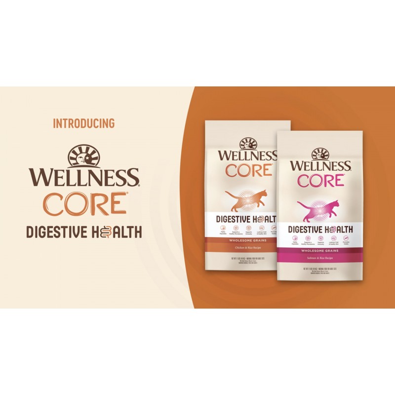 Wellness CORE 소화 건강 닭고기 및 쌀 건조 고양이 사료, 5파운드 가방