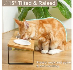 올려진 고양이 먹이 물그릇 높이 기울어진 키티 접시 실내 고양이용 세라믹 접시 3개 세트 정형외과 애완동물 먹이 스탠드 구토 방지 3그릇 고양이 피더 간편한 조립