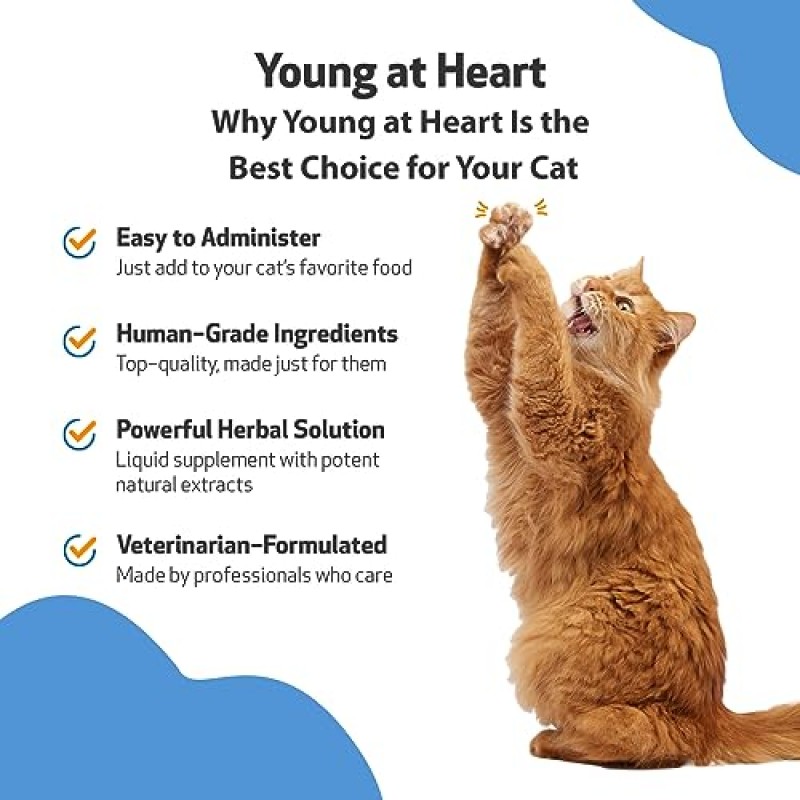 Pet Wellbeing Young at Heart for Cats - 수의사 제조 - 심혈관(심장 및 순환기) 건강 지원 - 천연 허브 보조제 2oz(59ml)