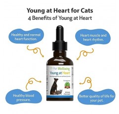 Pet Wellbeing Young at Heart for Cats - 수의사 제조 - 심혈관(심장 및 순환기) 건강 지원 - 천연 허브 보조제 2oz(59ml)