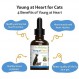 Pet Wellbeing Young at Heart for Cats - 수의사 제조 - 심혈관(심장 및 순환기) 건강 지원 - 천연 허브 보조제 2oz(59ml)