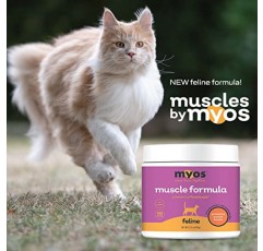 고양이를 위한 MYOS 고양이 근육 포뮬러 – 순수 천연 고양이 근육 손실 보충제 – 고양이를 위한 포르테트로핀 공급 – 고양이 근육 손실을 줄이기 위한 고양이 보충제, 180회분