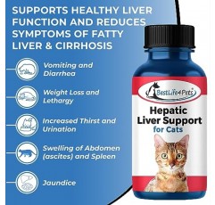 BestLife4Pets 간 고양이 간 지원 - 간 해독 및 영양 흡수를 위한 용해 가능한 동종요법 간 및 소화 고양이 보충제 - 100% 천연 - 화학물질이나 첨가물 없음