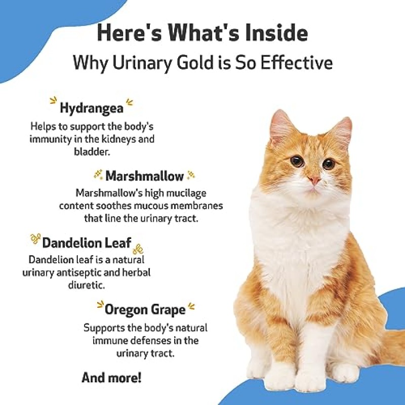 고양이용 Pet Wellbeing Urinary Gold - 수의사 제조 - 고양이 요로 건강, 정상적인 요로 pH 지원 - 천연 허브 보충제 2oz(59ml)