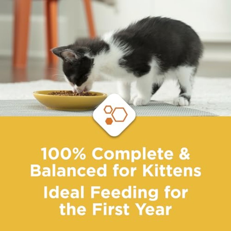 Purina Kitten Chow Dry 새끼 고양이 사료, 근육 육성 + 두뇌 발달 - 14파운드 가방