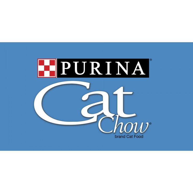 Purina Kitten Chow Dry 새끼 고양이 사료, 근육 육성 + 두뇌 발달 - 14파운드 가방