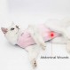 OUUUoNNo 고양이 상처 수술 회복복, 복부 상처나 피부 질환 수술 후 착용, 파자마 슈트, 고양이용 E-Collar 대안(S, 핑크)
