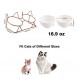 Trosetry 고양이 그릇, 음식과 물을 위한 15° 기울어진 스탠드가 있는 이중 세라믹 애완 동물 그릇, 구토 방지 고양이 접시 공급 장치, 강아지 고양이와 작은 개에게 적합(더블 그릇1)