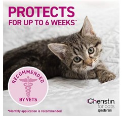 고양이 국소 벼룩 예방을 위한 Cheristin – 1회 복용량으로 30분 안에 벼룩을 죽이기 시작합니다.