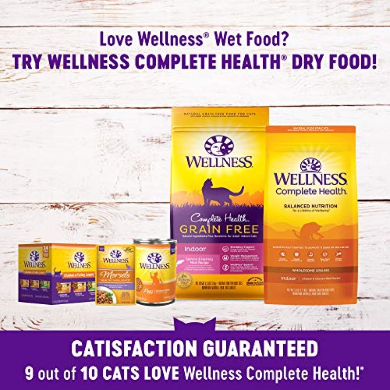 Wellness Natural 애완동물 식품 Wellness Complete Health 천연 곡물 무첨가 습식 통조림 고양이 사료, 큐브 연어 앙트레, 3온스 캔(24팩)