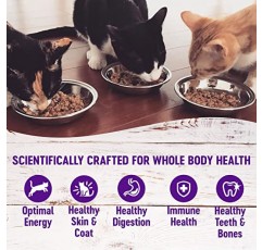 Wellness Natural 애완동물 식품 Wellness Complete Health 천연 곡물 무첨가 습식 통조림 고양이 사료, 큐브 연어 앙트레, 3온스 캔(24팩)