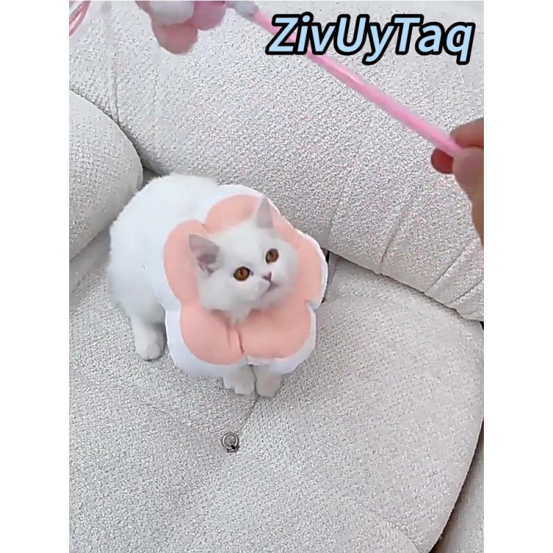 ZIVUYTAQ 고양이 콘 칼라, 고양이 회복 칼라 방수 꽃 조절 콘, 새끼 고양이를위한 부드러운 엘리자베스 칼라 수술 후 핥는 것을 중지 (Y1002-03-M)