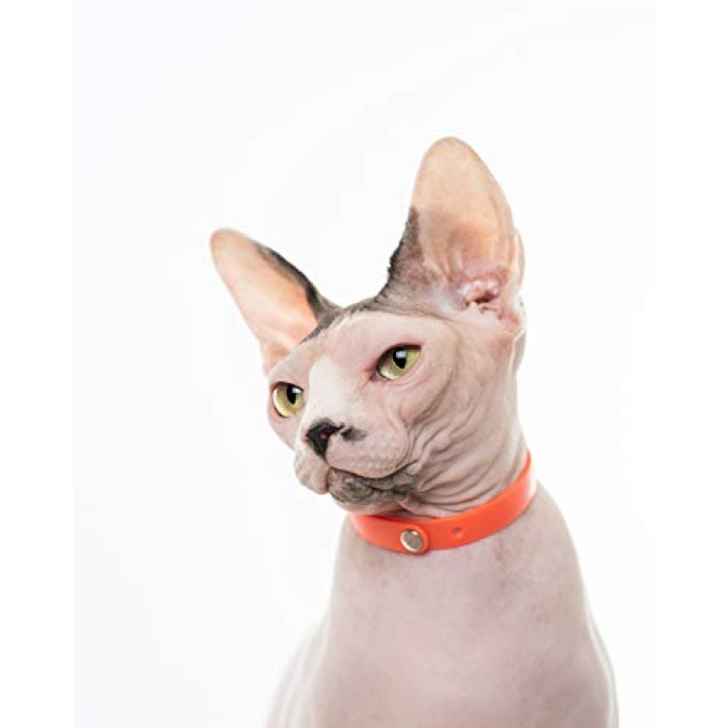 Nuvuq 분리형 스냅 버튼이 있는 편안하고 부드럽고 가벼운 고양이 목걸이(탠저린 오렌지)