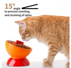 Chubacoo 고양이 먹이 그릇: 기울어진 세라믹 고양이 그릇 - 실내 고양이를 위한 사랑스러운 손으로 그린 ​​고양이 접시 - 6.5인치 고양이 먹이 그릇(1 PC)