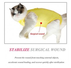 복부 상처 또는 피부 질환을 위한 Coppthinktu 고양이 회복복, 고양이와 개를 위한 통기성 E-칼라 대안, 수술 후 상처 핥기 방지 착용