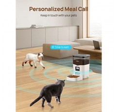 Ymiko 자동 고양이 급식기, 음성 녹음기가 있는 고양이 사료 디스펜서, 프로그래밍 가능한 타이머가 있는 시간 제한 소형 애완동물 급식기, 하루 1-4끼 식사, 3L/12.7 컵 용량