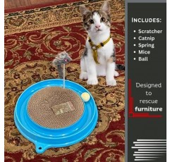 볼 트랙이 있는 아마추어 고양이 장난감 실내 놀이를 위한 다양한 색상 패드 보드 스프링과 공이 있는 물리적 대화형 장난감. 추격, 사냥, 정신 및 신체 운동 퍼즐에 적합(파란색)