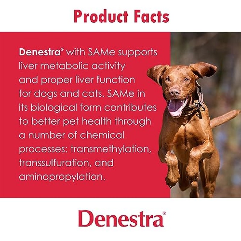 Denestra - 개와 고양이에게 동일 - S-아데노실-L-메티오닌 - 고양이와 소형견을 위한 간, 관절 및 인지 지원 - 수의사 승인 - 400mg - 60정
