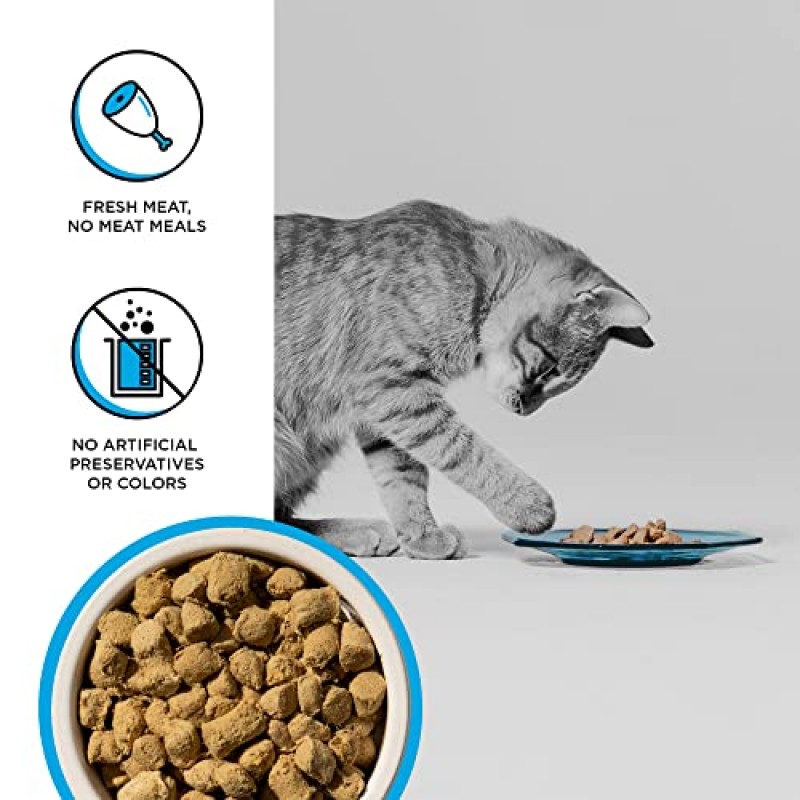 BIXBI Rawbble 동결 건조 고양이 사료, 닭고기 및 연어 레시피, 10온스 - 고기 및 내장 95%, 충전재 없음 - 식사, 간식 또는 식품 토퍼용 식품 저장실 친화적인 생식 고양이 사료 - 미국 소량 생산