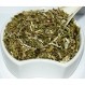 캣닙 허브티(Nepeta cataria L.) - Health Embassy 100% 천연(100g)