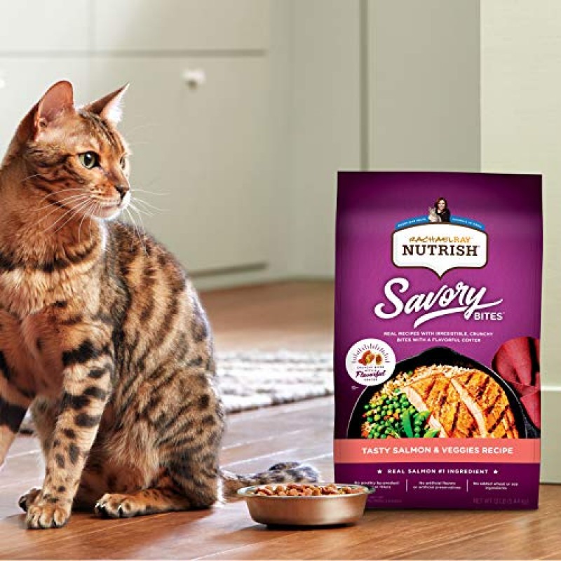 Rachael Ray Nutrish Savory Bites 건조 고양이 사료, 맛있는 연어 및 채소 레시피, 5파운드 가방