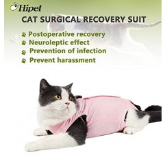 복부 상처 또는 피부 질환을 위한 Hipet 고양이 수술 회복복, E-Collar & Cone 대체, 수술 후 고양이 Onesie 착용 방지 핥기