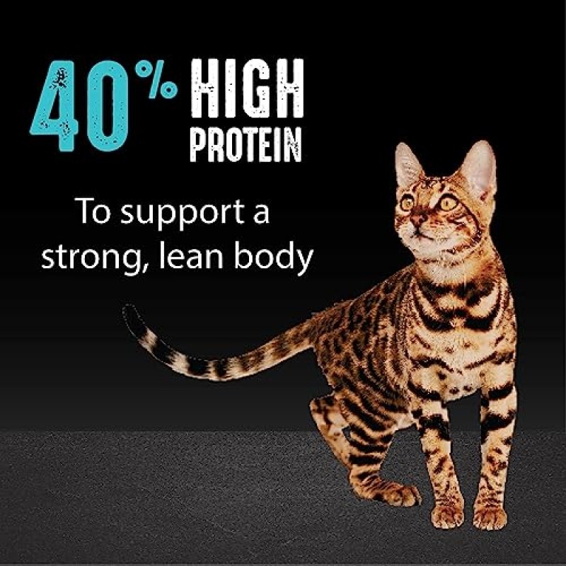CRAVE 그레인 프리 성인용 고단백 천연 건식 고양이 사료(연어 및 해양 생선 단백질 포함) 4 lb