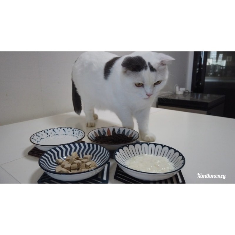 미끄럼 방지 매트가 포함된 Ximthmoney 세라믹 고양이 접시(4인용 세트), 5.5인치 얕은 고양이 먹이 그릇, 수염 피로 고양이 그릇, 음식 및 고양이 먹이 접시 및 새끼 고양이 그릇용 고양이 접시, 전자레인지 및 식기 세척기 안전