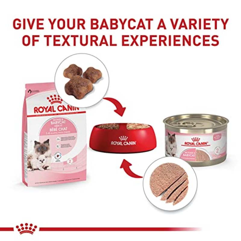 Royal Canin 고양이 건강 영양 산모 및 Babycat 갓 태어난 새끼 고양이와 임신 또는 수유 중인 고양이를 위한 건식 고양이 사료, 6파운드 가방