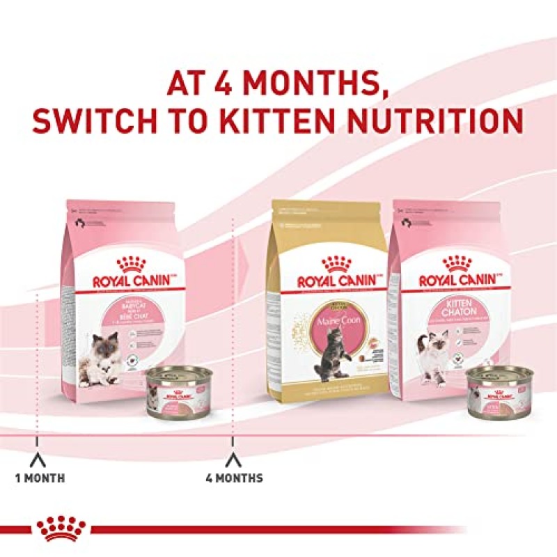 Royal Canin 고양이 건강 영양 산모 및 Babycat 갓 태어난 새끼 고양이와 임신 또는 수유 중인 고양이를 위한 건식 고양이 사료, 6파운드 가방