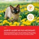 NaturVet – 고양이를 위한 Aller-911 알레르기 보조제 플러스 항산화제 – 60 소프트 츄 | 면역 체계, 피부 수분 및 호흡기 건강 지원 | 오메가, DHA, EPA 강화 | 30일분