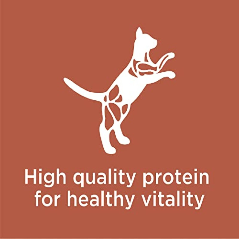 IAMS PROACTIVE HEALTH 닭고기 및 연어 고양이 사료가 포함된 고단백 성인용 건식 고양이 사료, 6파운드 가방