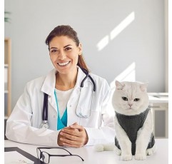 Avont 고양이 회복복 - 수술 후 고양이를 위한 새끼 고양이 원피스, 암컷 고양이를 위한 수치심 대체 수술용 중성 슈트, 수술 후 또는 피부 질환 보호 -회색(L), AT-08364177