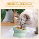Bokon 4 Pcs 플라스틱 기울어 진 높은 고양이 그릇 제기 된 고양이 먹이 그릇 애완 동물 고양이 높은 먹이 그릇 평평한 고양이를위한 제기 된 고양이 접시, 애완 동물의 척추, 새끼 고양이, 물 (녹색) 보호
