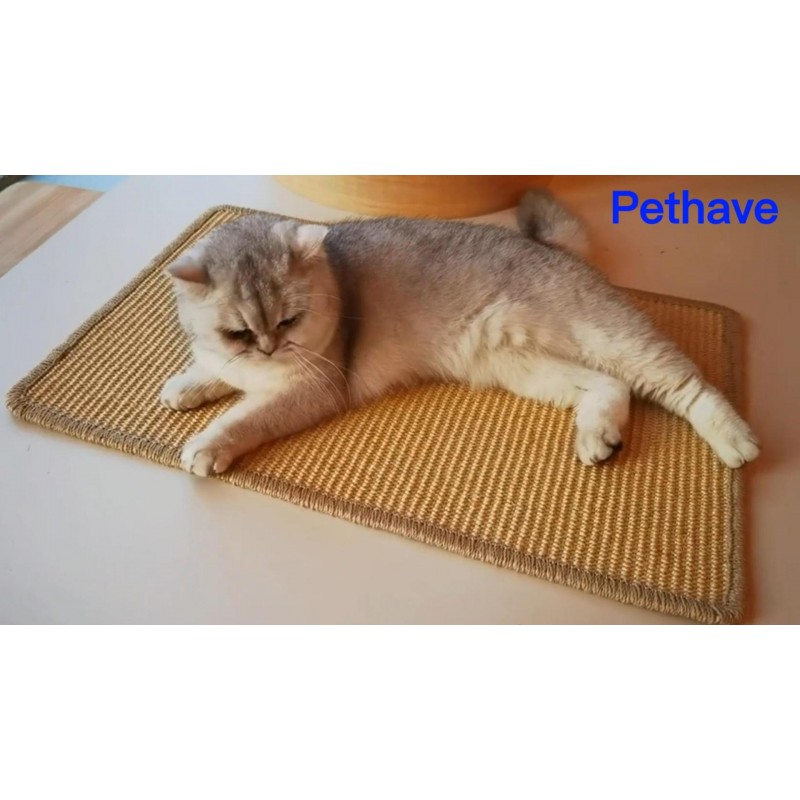 Pethave 고양이 스크래치 매트, 23.6x15.7인치 벨크로 테이프가 있는 천연 사이잘삼 스크래치 매트, 바닥과 벽에 붙이기 고양이 스크래치 패드 러그, 수평 고양이 스크래치 매트 카펫과 소파 보호(자연 색상)