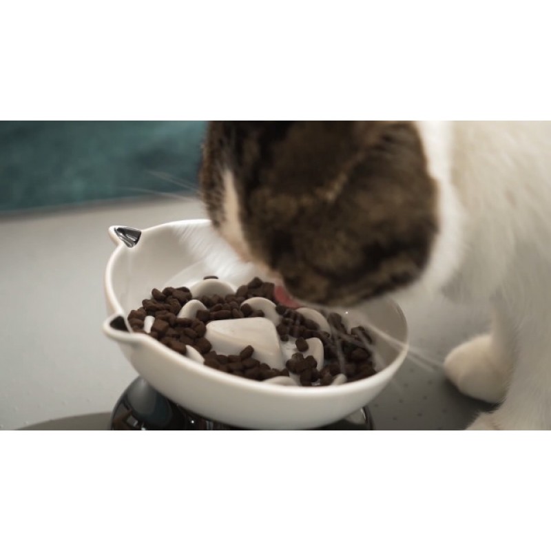 Y YHY 슬로우 피더, 건식 및 습식 사료용 개와 고양이를 위한 높은 음식 그릇 기울어진 디자인