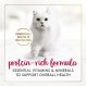 팬시 피스트 치킨 피스트 클래식 페이트 컬렉션 그레인 프리 습식 고양이 사료 멀티 팩 - (24) 3 Oz. 풀탑 캔