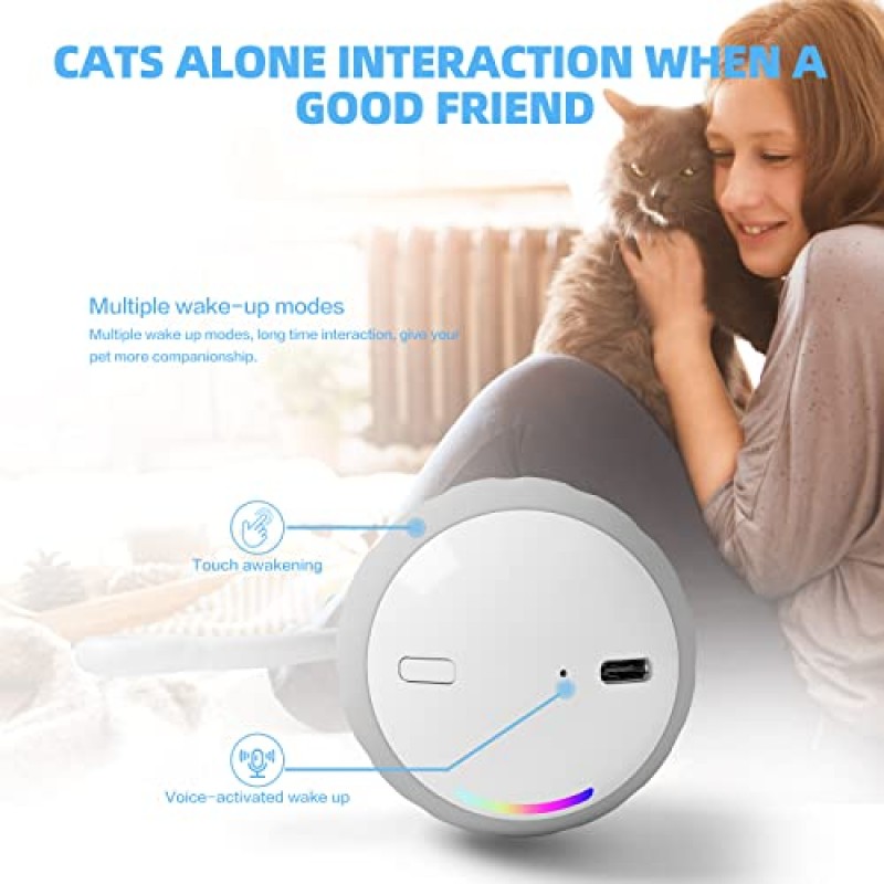 GOGODOGYA 고양이 장난감, 자동 고양이 장난감 공, 실내 고양이를 위한 대화형 고양이 장난감, 전기 고양이 장난감 LED 조명이 포함된 실내 2 모드 고양이 공 장난감 깃털 3개 및 USB Type-C 충전 케이블 고양이 선물