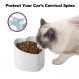 KITCHENLESTAR 세라믹 고양이 그릇 기울어진 높은 음식 그릇 또는 물 그릇 작은 고양이를 위한 애완동물 그릇 - 스트레스 프리, 역류 방지, 식기세척기 및 전자레인지 안전, 납 및 카드뮴 없음(화이트-2개)