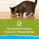 Purina Cat Chow 헤어볼, 건강한 체중, 실내, 천연 건조 고양이 사료, 실내 천연 - 13파운드 가방
