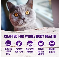 Wellness Natural Pet Food Complete Health 곡물 무첨가 시니어 건식 고양이 사료, 5파운드 가방