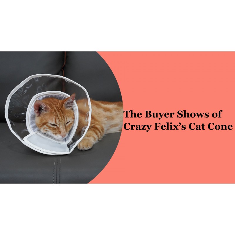 크레이지 펠릭스 캣 콘, 고양이가 핥거나 긁는 것을 방지하는 부드러운 콘, 업그레이드된 PVC 소재를 갖춘 편안한 고양이 콘 목줄, 수술 및 수의사 방문 후 상처 치유를 위한 조절 가능한 후크&루프