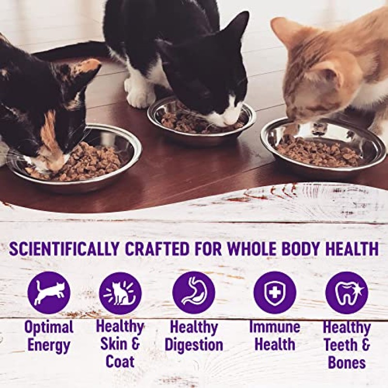 Wellness Healthy Indulgence Morsels 천연 성분과 고품질 단백질로 만든 곡물 없는 습식 고양이 사료, 완전하고 균형잡힌 식사, 3온스 파우치(모셀 버라이어티 팩, 8팩)