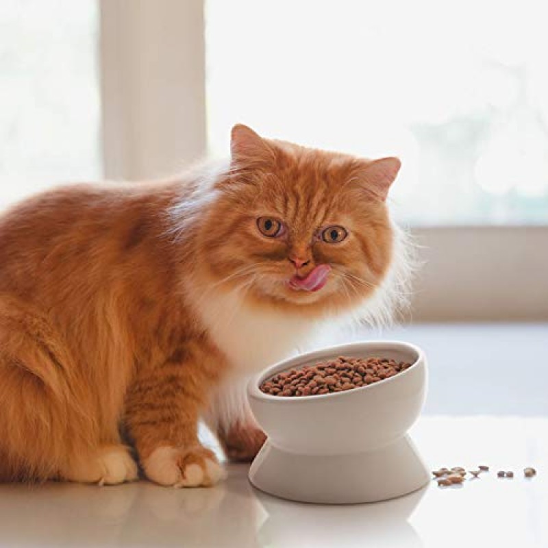 Y YHY 높은 고양이 먹이 그릇, 15oz 제기 고양이 먹이 및 물 그릇 기울어 진 세라믹 고양이 물 그릇 실내 고양이에게 친숙한 수염, 식기 세척기 안전