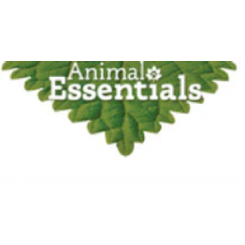 Animal Essentials 고양이와 개를 위한 건강한 잇몸 관리, 1 fl oz - 건강한 잇몸을 유지하고 구강 감염을 퇴치하는 천연 지원