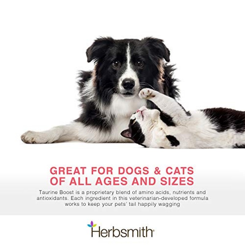 Herbsmith Taurine Boost - 개와 고양이를 위한 심장 및 심장 지원 - 개와 고양이의 심장 건강을 위한 타우린 보충제 - 개를 위한 CoQ10, 타우린 및 L-카르니틴 함유 - 75g
