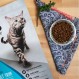 Nulo 프리스타일 성인용 트림 고양이 사료, 체중 관리 지원, 프리미엄 곡물이 들어가지 않은 건조 소형 사료, 소화 건강 지원을 위한 BC30 프로바이오틱이 포함된 천연 동물성 단백질 레시피