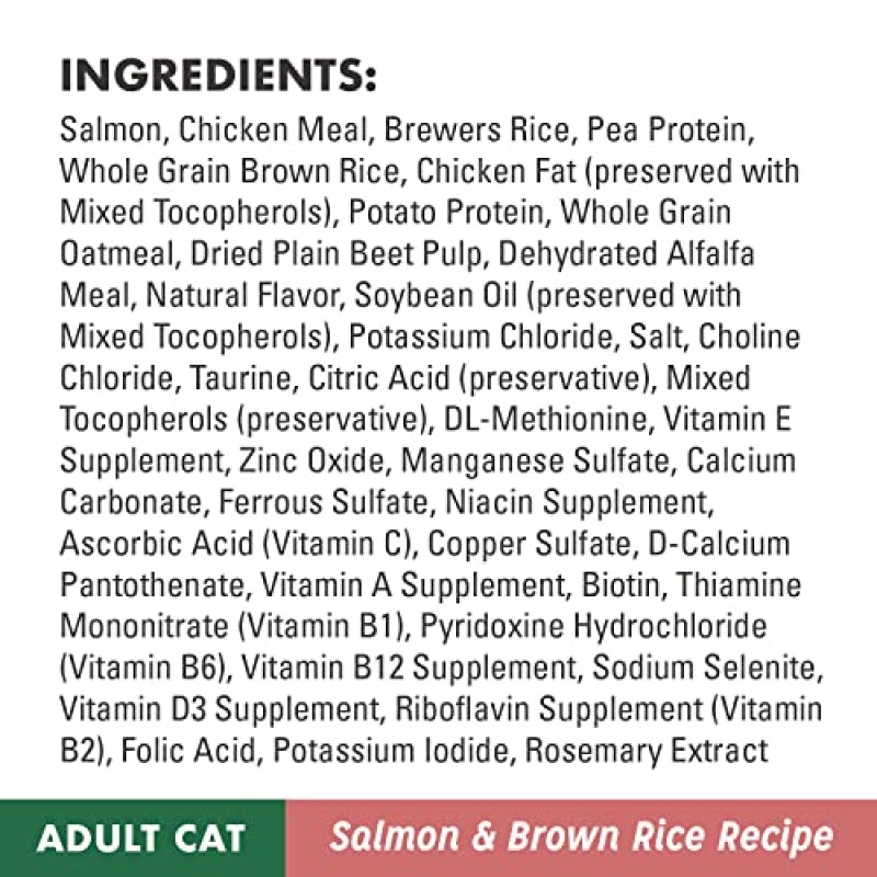 NUTRO WHOLESOME ESSENTIALS 성인용 천연 건식 고양이 사료 연어 및 현미 레시피, 14파운드 가방